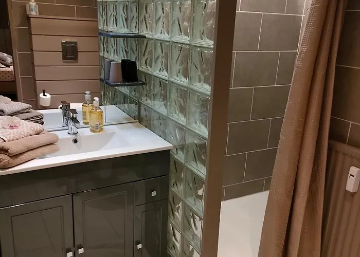 Apartment Renove Avec Parking - Aix Les Bains Hyper Centre - 10mn Du Bourget